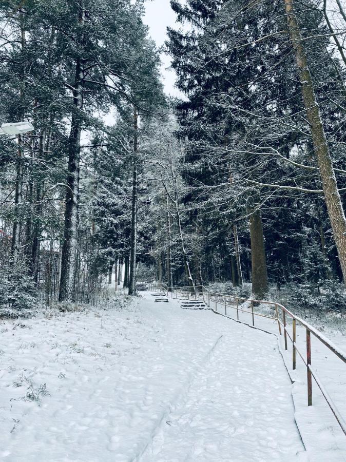 Apartmán Galerie - Lipno nad Vltavou Exterior foto